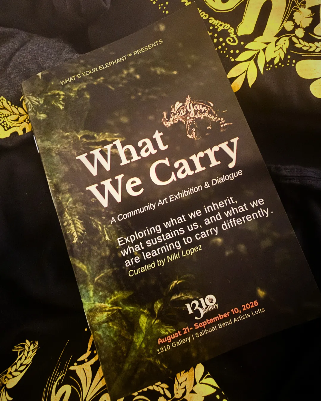 What We Carry Virtual Artist Talk: Continuing the Conversation (photo 3)