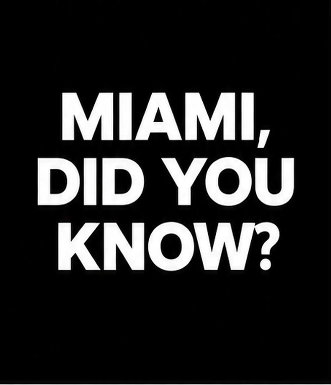 MIAMI short FILM FESTIVAL 25th edition - November 13-14-15 , 2026 (photo 5)