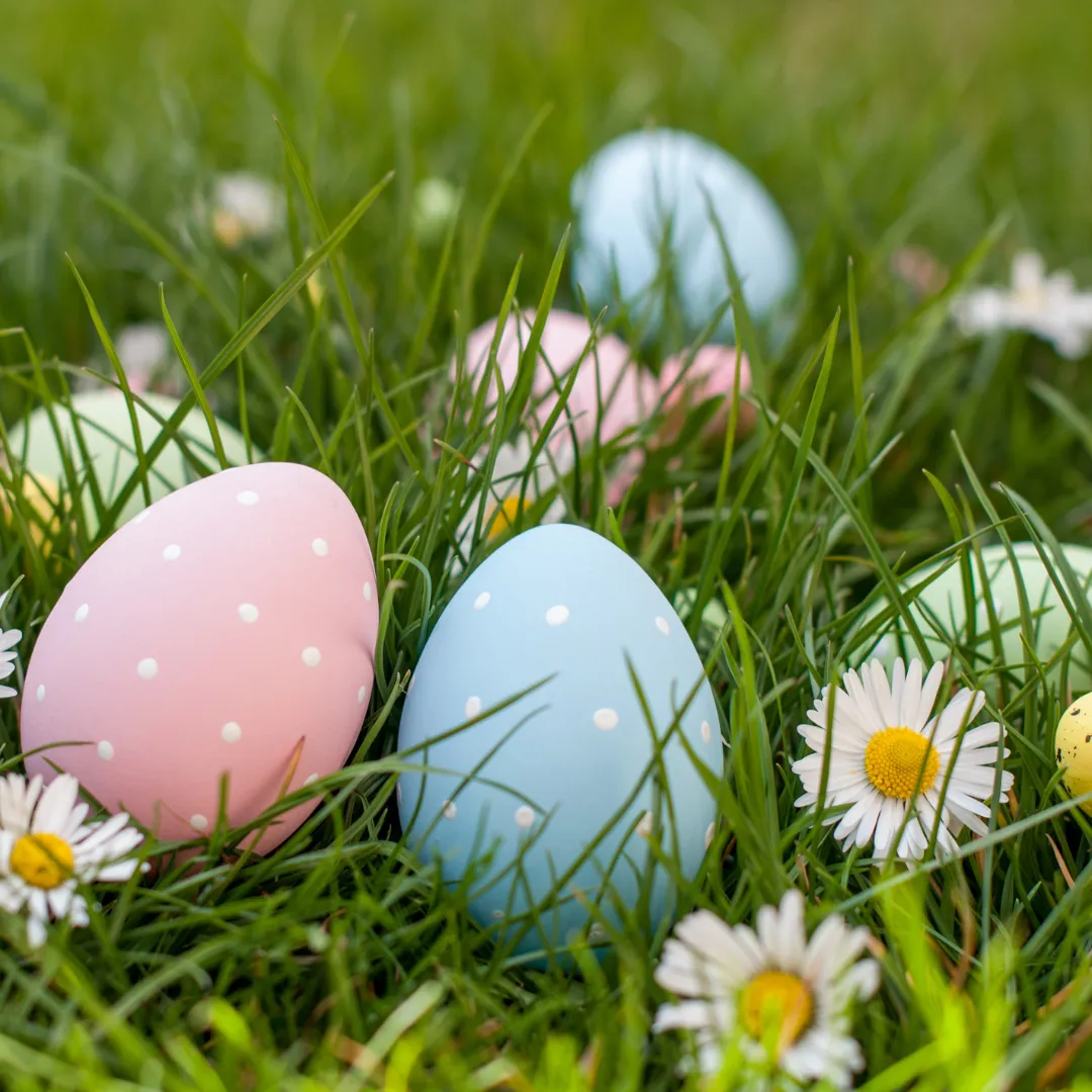 Migration Mania & Great Egg Hunt