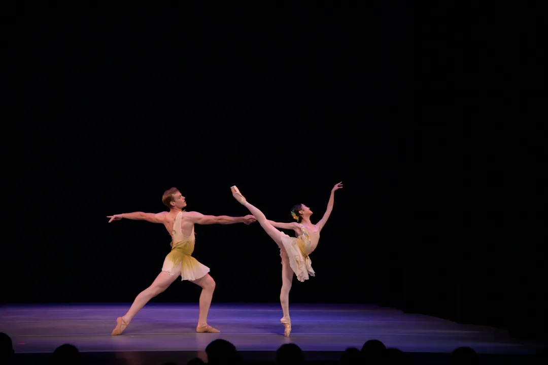 CLASSICAL AND NEOCLASSICAL BALLETS (photo 3)