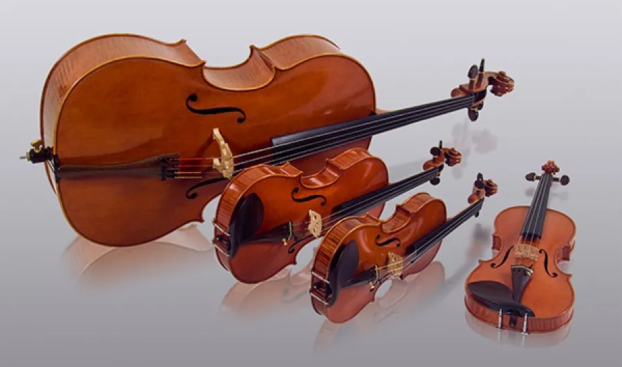 The Bay String Quartet