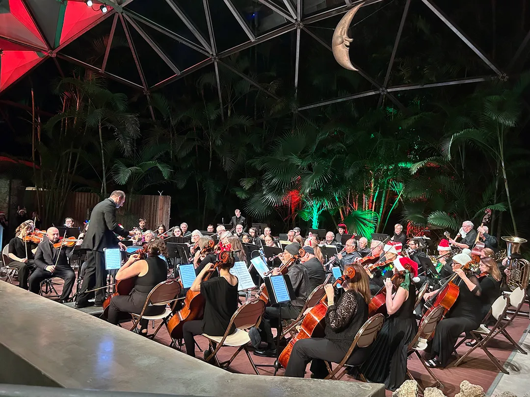 HOLIDAY MELODIES with the Alhambra Orchestra (photo 2)