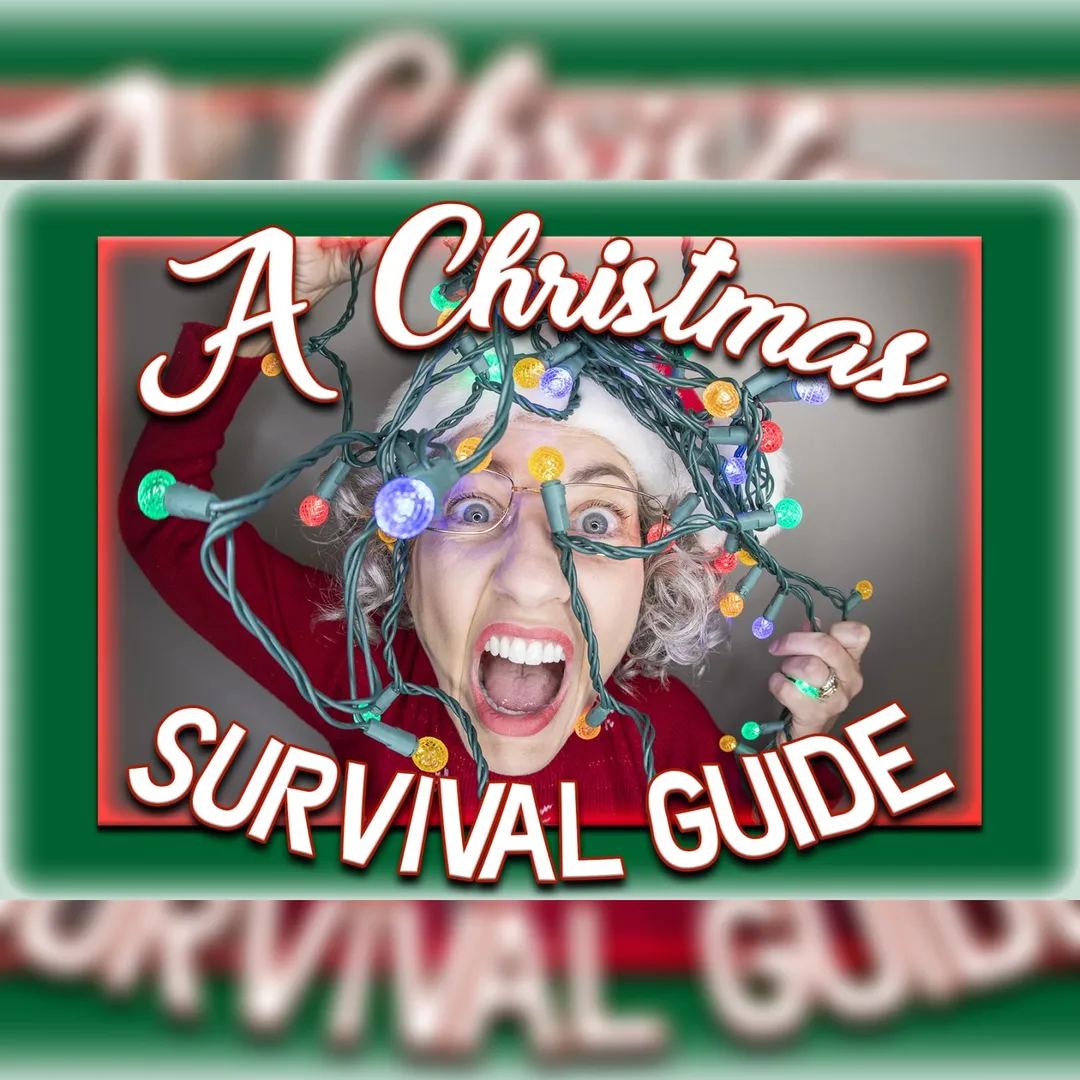 A Christmas Survival Guide