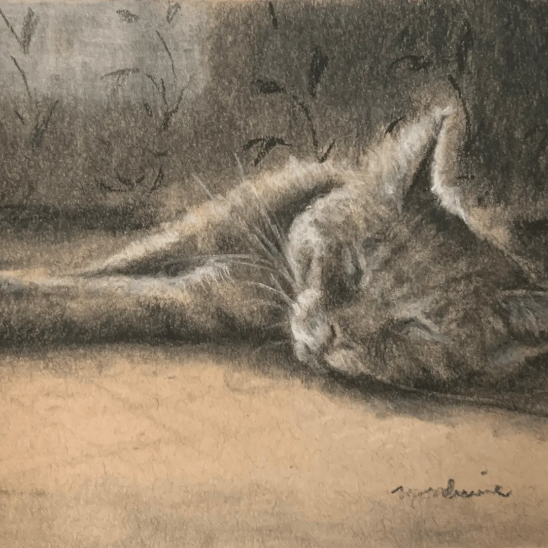 Workshop: How to Draw Your Furry Friend (CANCELLED)