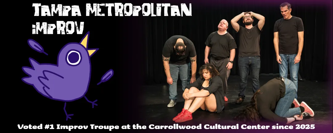 Tampa Metropolitan Improv (TMI) (photo 2)