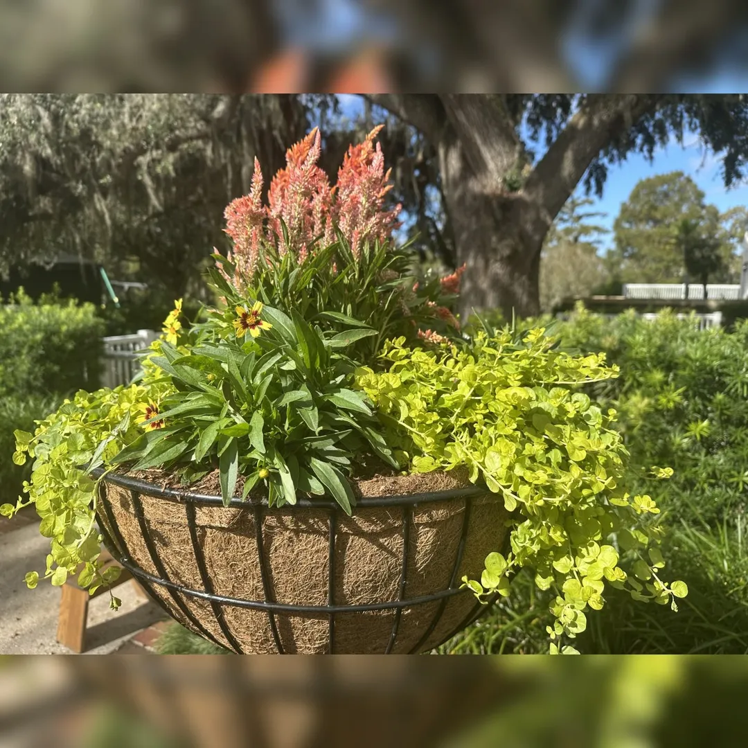 Fall Into the Gardens