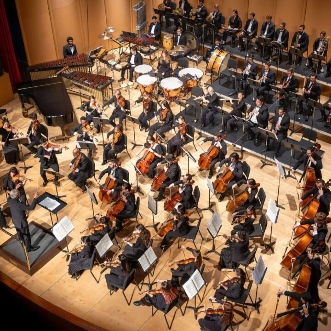 Philharmonia No. 5
