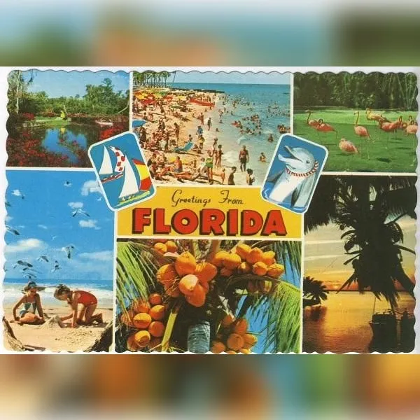 FLORIDIANA: Vintage Treasures & Oddities from the Sunshine State