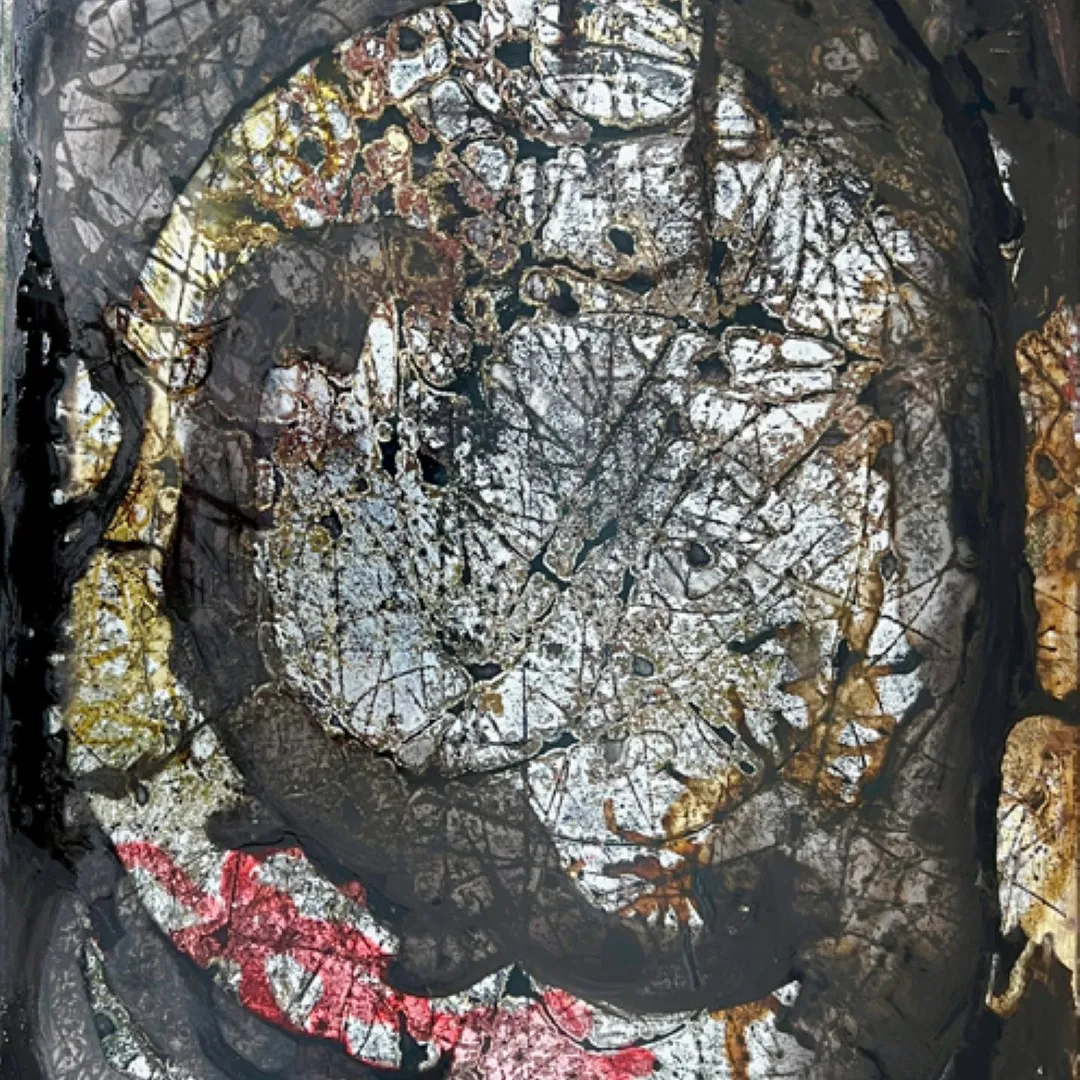 Deering Contemporary Phase 1: Aquatics, Miniatures and Microscopics
