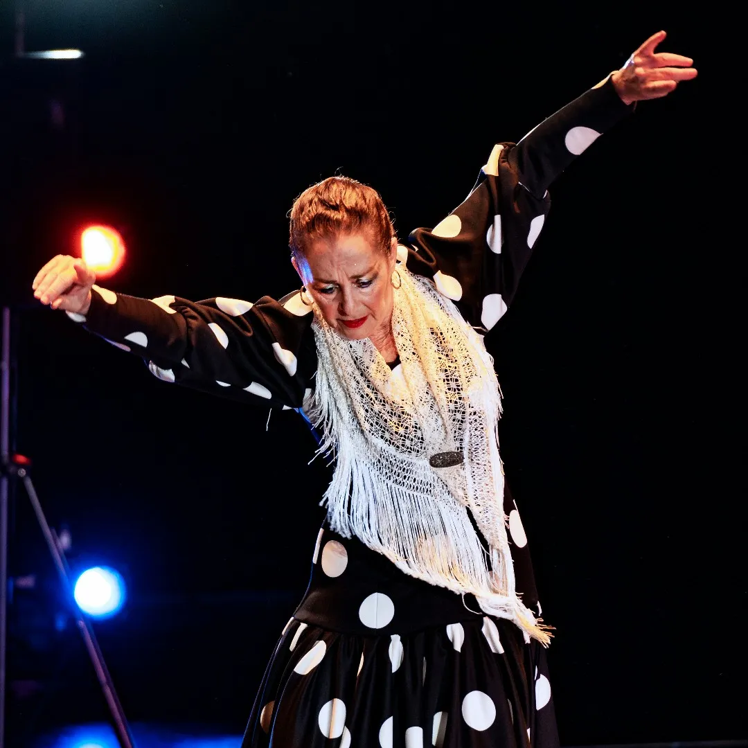 Siempre Flamenco: Light And Shadow