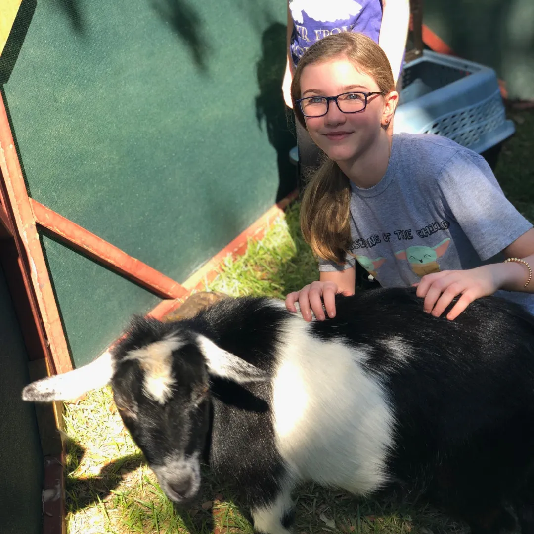 Fall Fest presented by Carrollwood Village Phases II & III