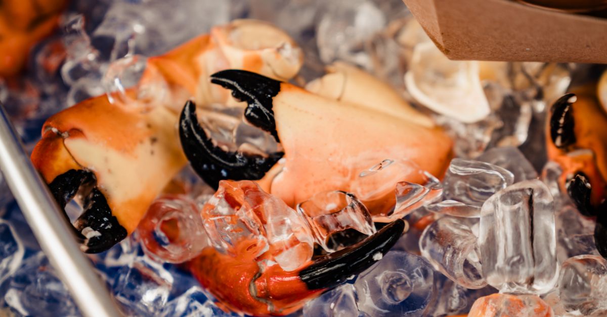 Sun, Surf, and Shellfish: How South Beach Cooked Up The Biggest Coastal Party