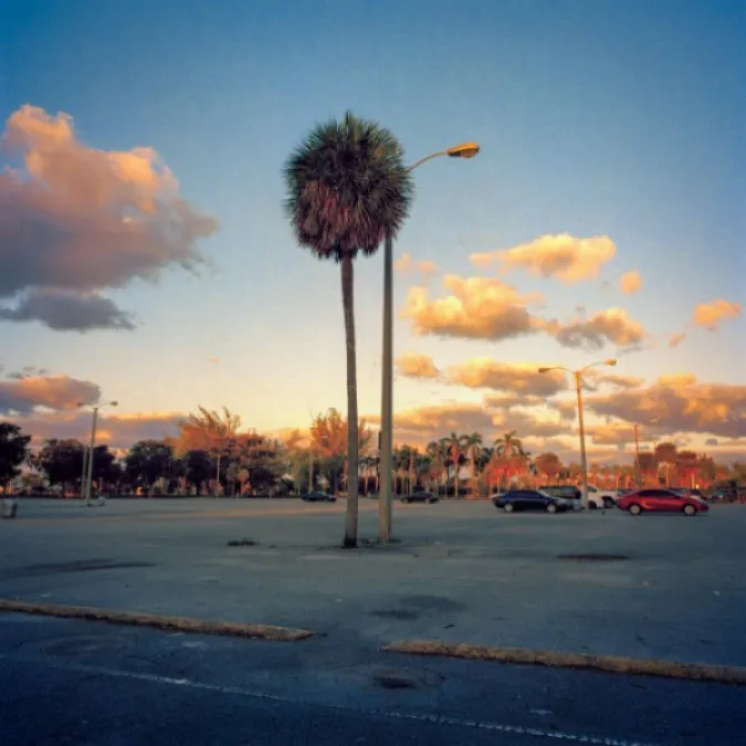 Picks of the Week: Live Music, Art and More...
