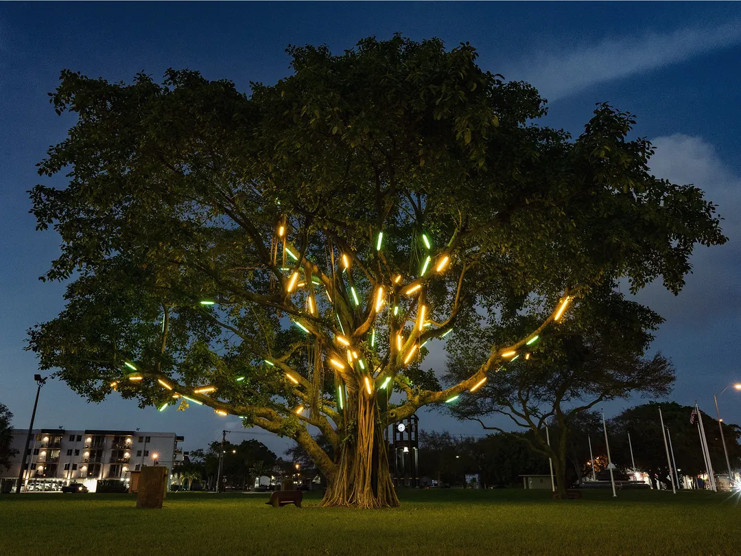 MOCA Announces Robust Public Activations