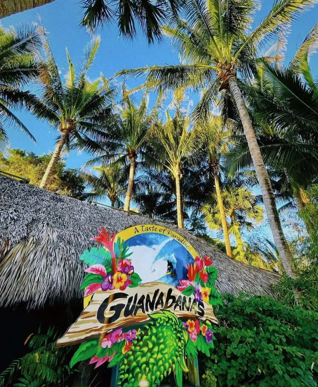 Guanabanas