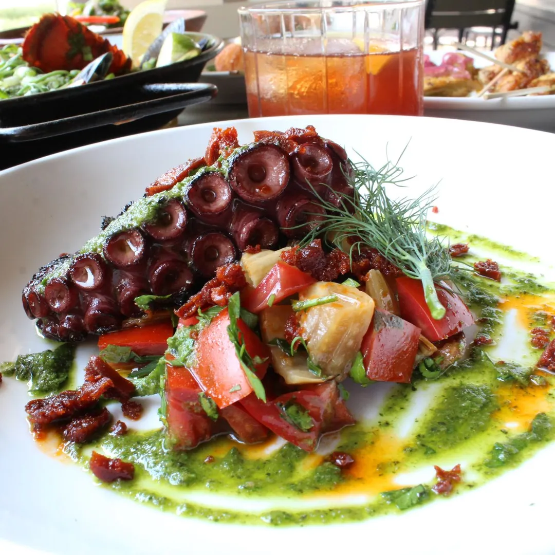 Under the Cork Tree