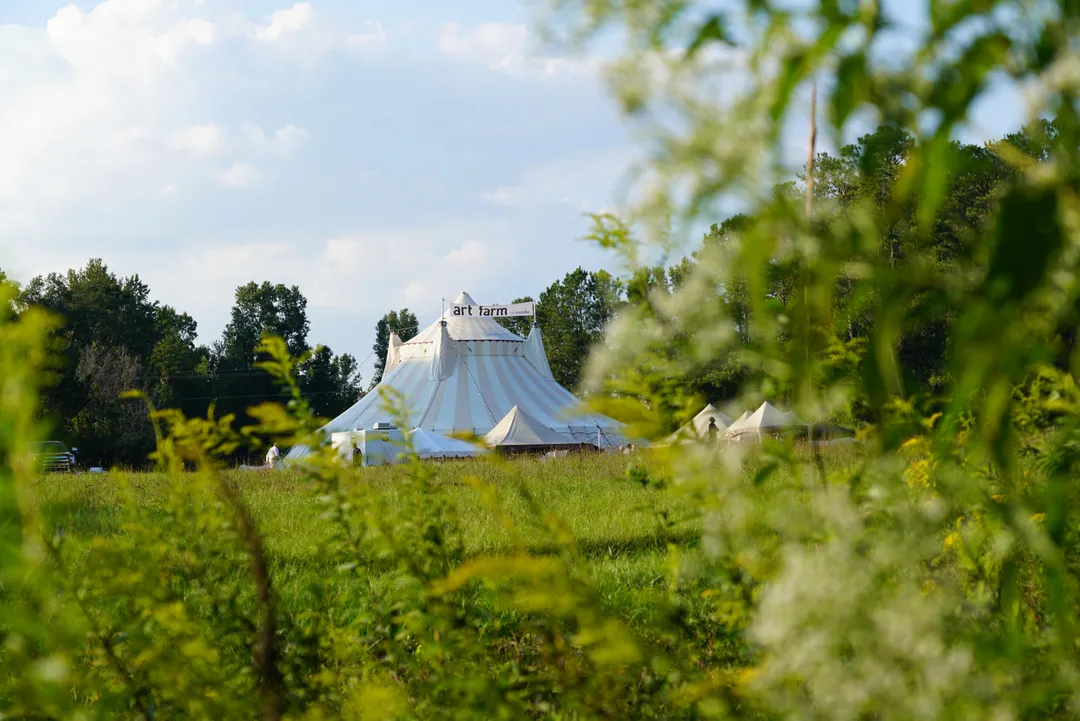 Art Farm at Serenbe Wildflower Meadow