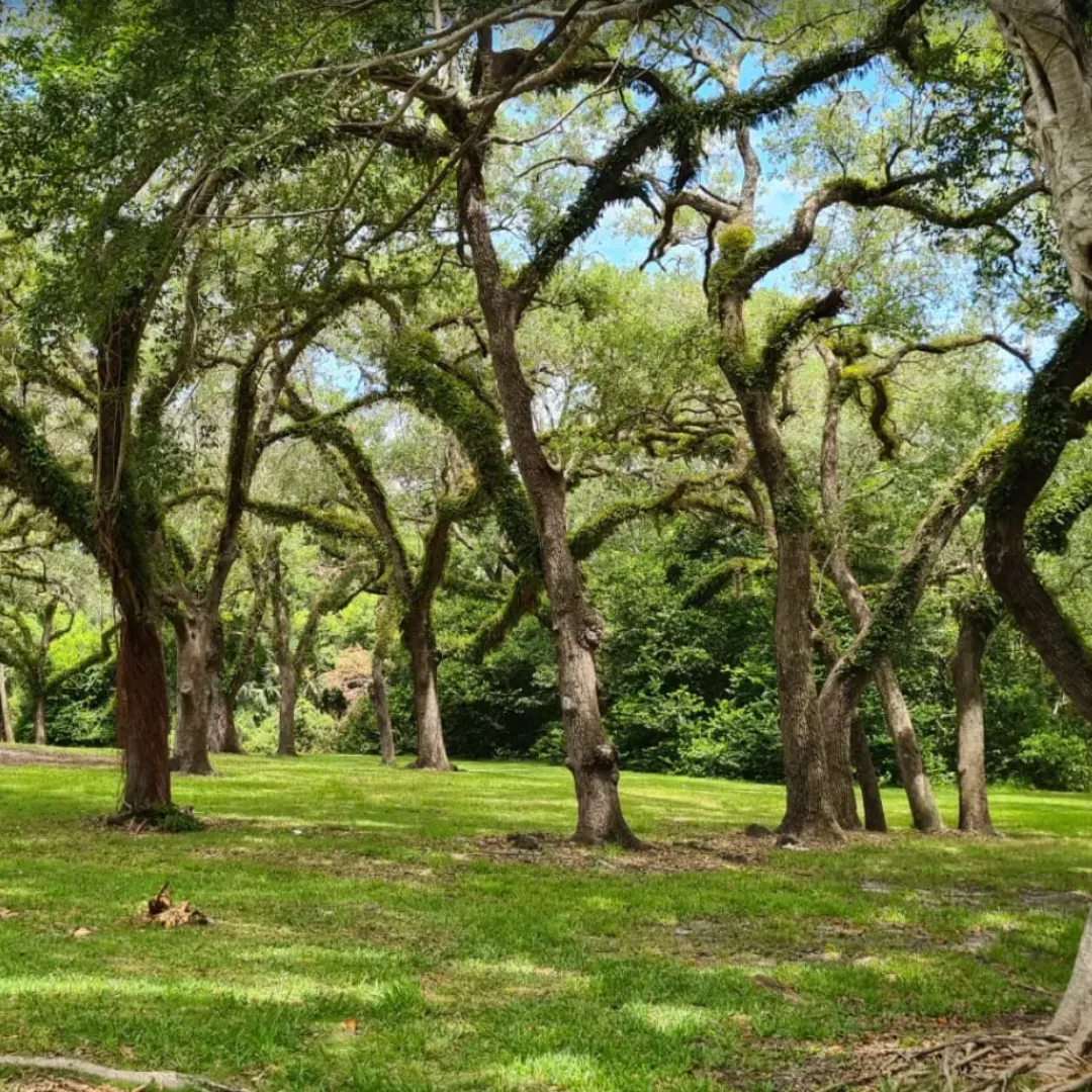 Greynolds Park