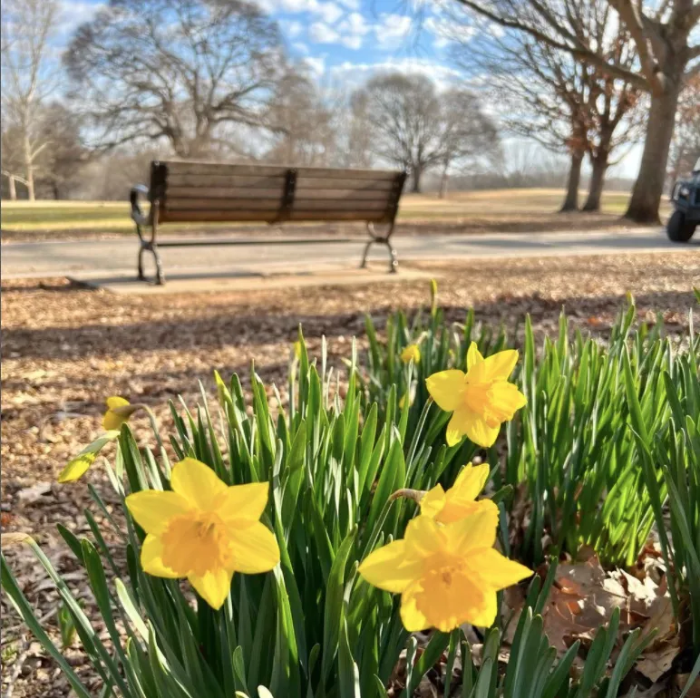 Piedmont Park