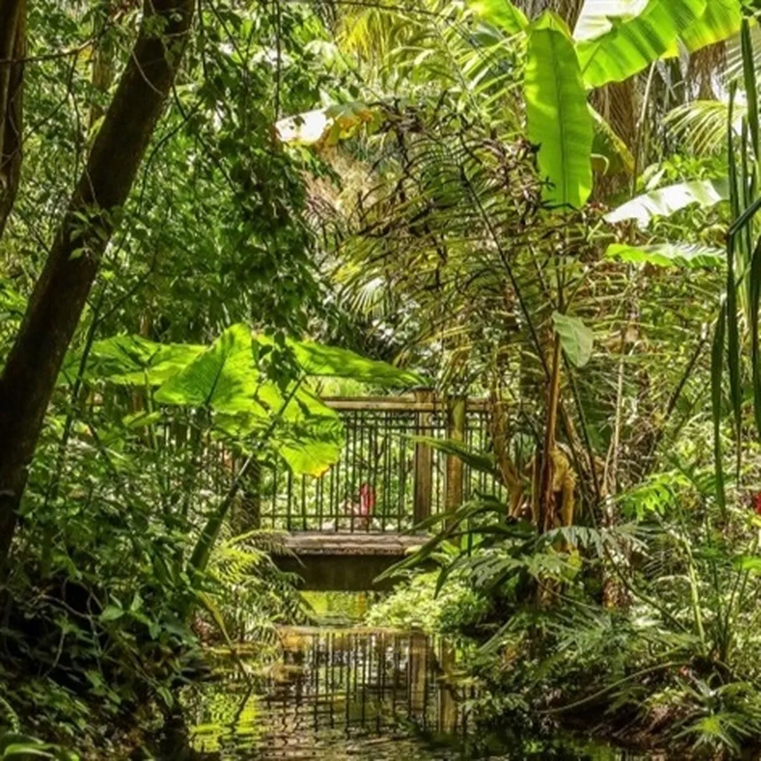 Harry P. Leu Gardens